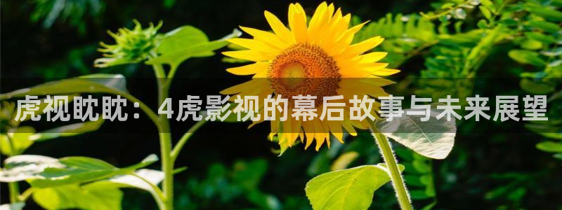 第九影院在线免费观看