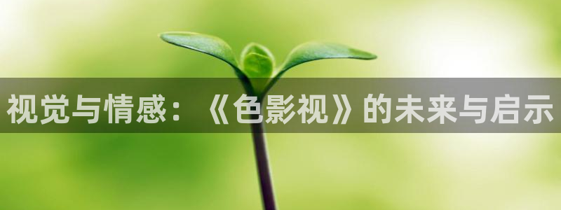 神马电影网第九达达兔影院：视觉与情感：《色影视》的未来与启示