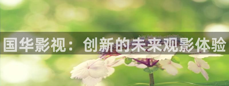第九影院影院：国华影视：创新的未来观影体验