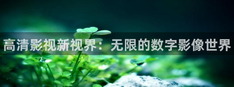 第九新影院：高清影视新视界：无限的数字影像世界