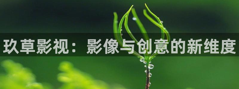 神马影视第九哒哒兔