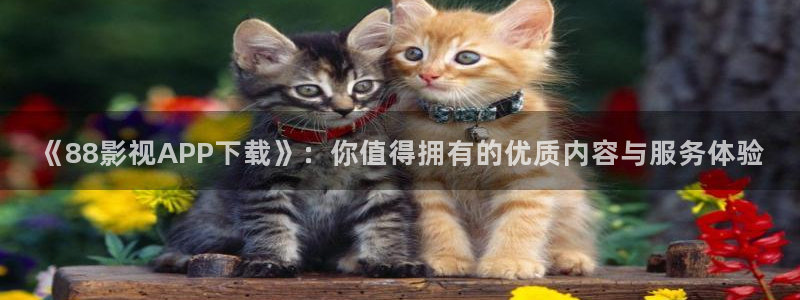神马影院第九六度2345